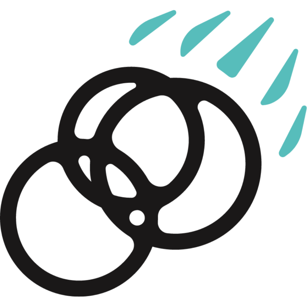 data management software